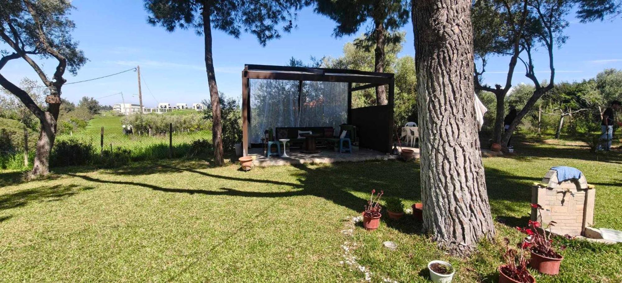 Golden Summer Apartment Néa Fókaia Exteriér fotografie